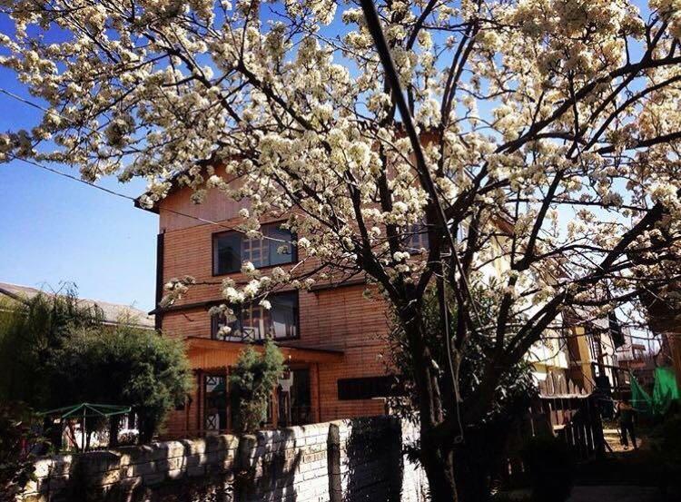 Royal Star Inn Srīnagar エクステリア 写真